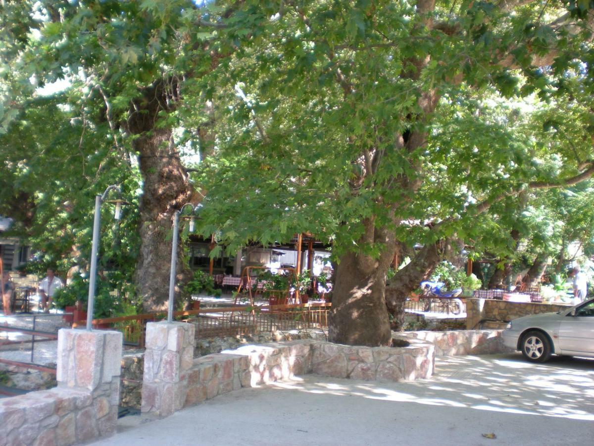 Difo Hotel Лутра Едипсу Екстериор снимка